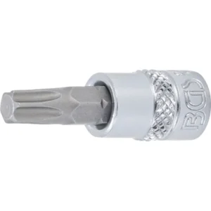 Antgalis įpresuotas į galvutę 1/4 T35 TORX