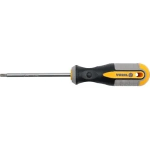 Atsuktuvas TORX T20x100mm